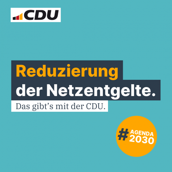 Reduzierung der Netzentgelte.